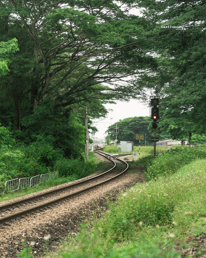 Train Journey To The Southern Soul Blog 1
