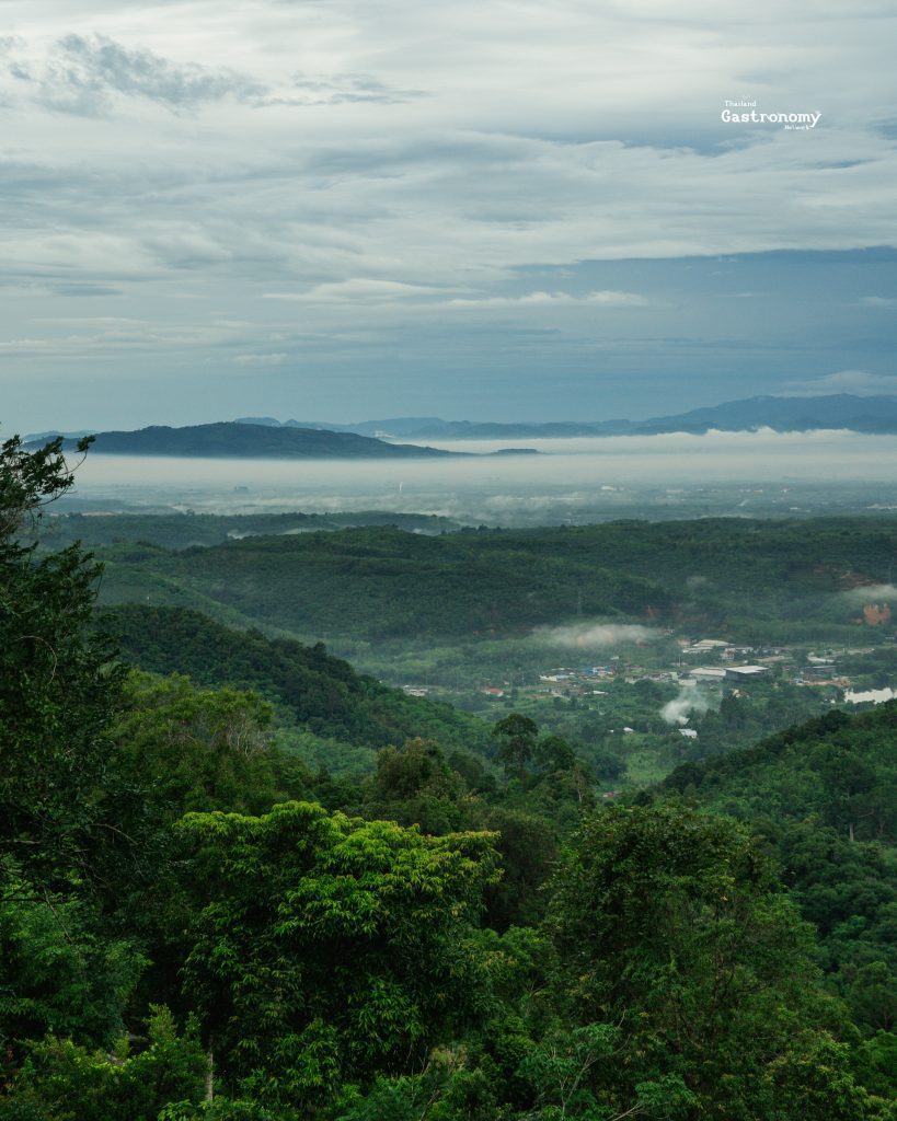 ทะเลหมอกควนคานหลาว